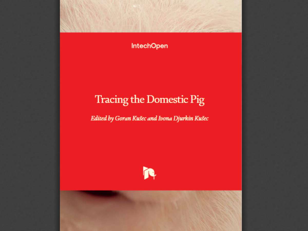 Tracing the Domestic Pig