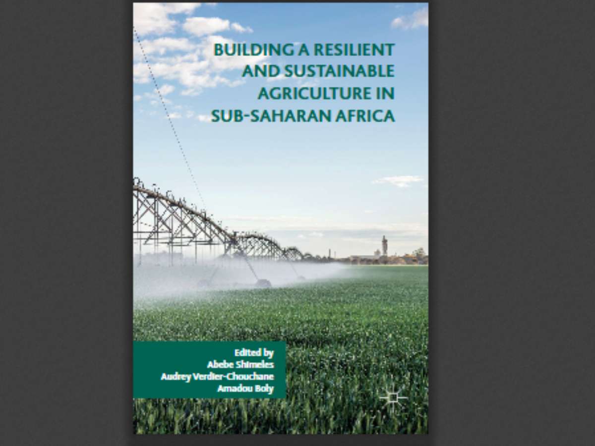 Building a Resilient and Sustainable Agriculture in Sub-Saharan Africa