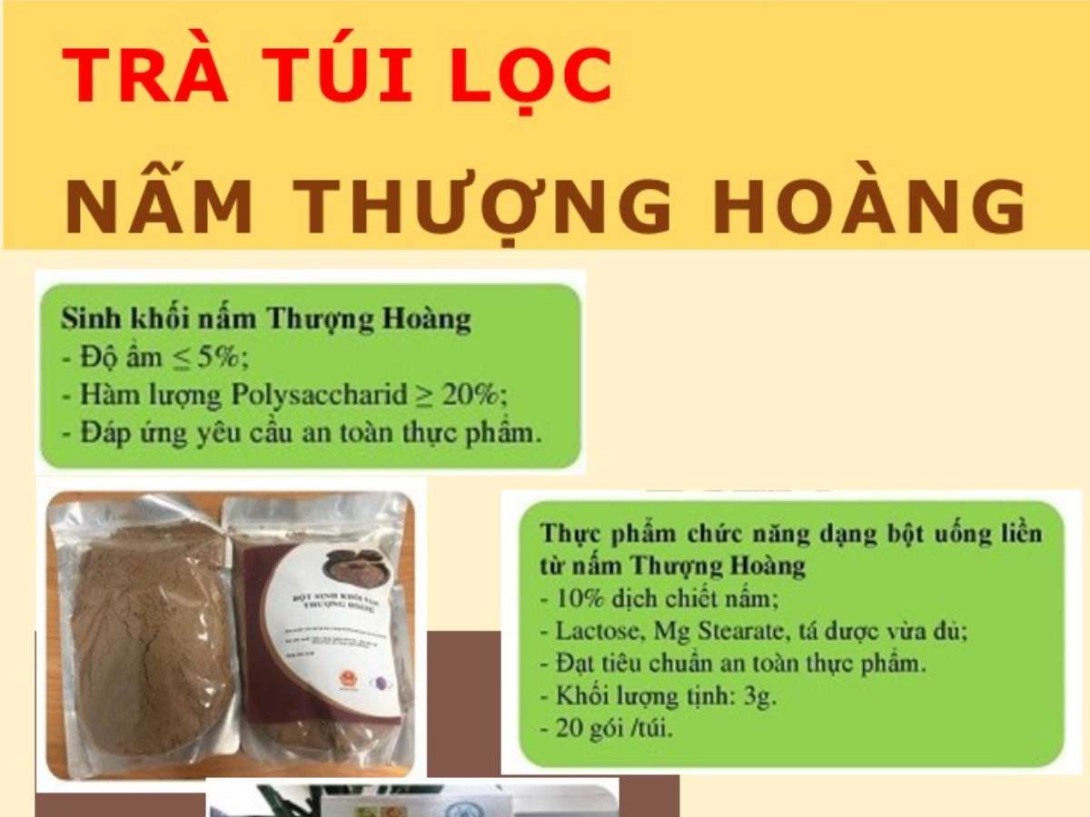 [DEMO] Nghiên cứu công nghệ sản xuất sinh khối Nấm Thượng Hoàng và ứng dụng để sản xuất thực phẩm chức năng