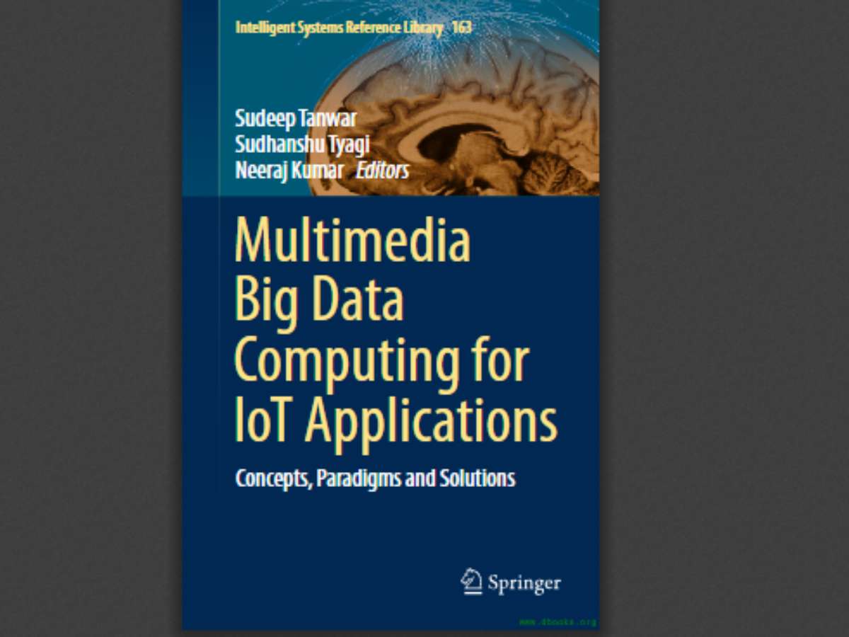 Multimedia Big Data Computing for IoT Applications