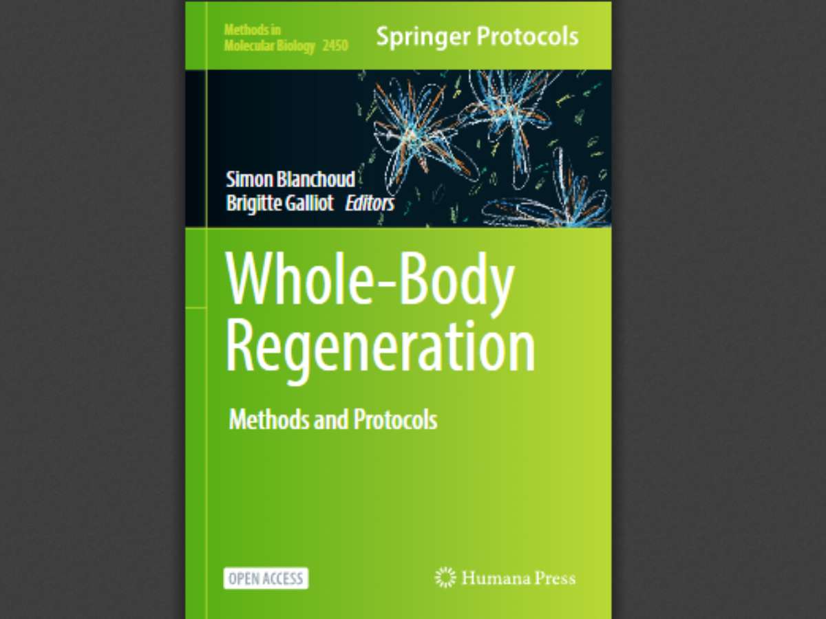 Whole-Body Regeneration: Methods and Protocols