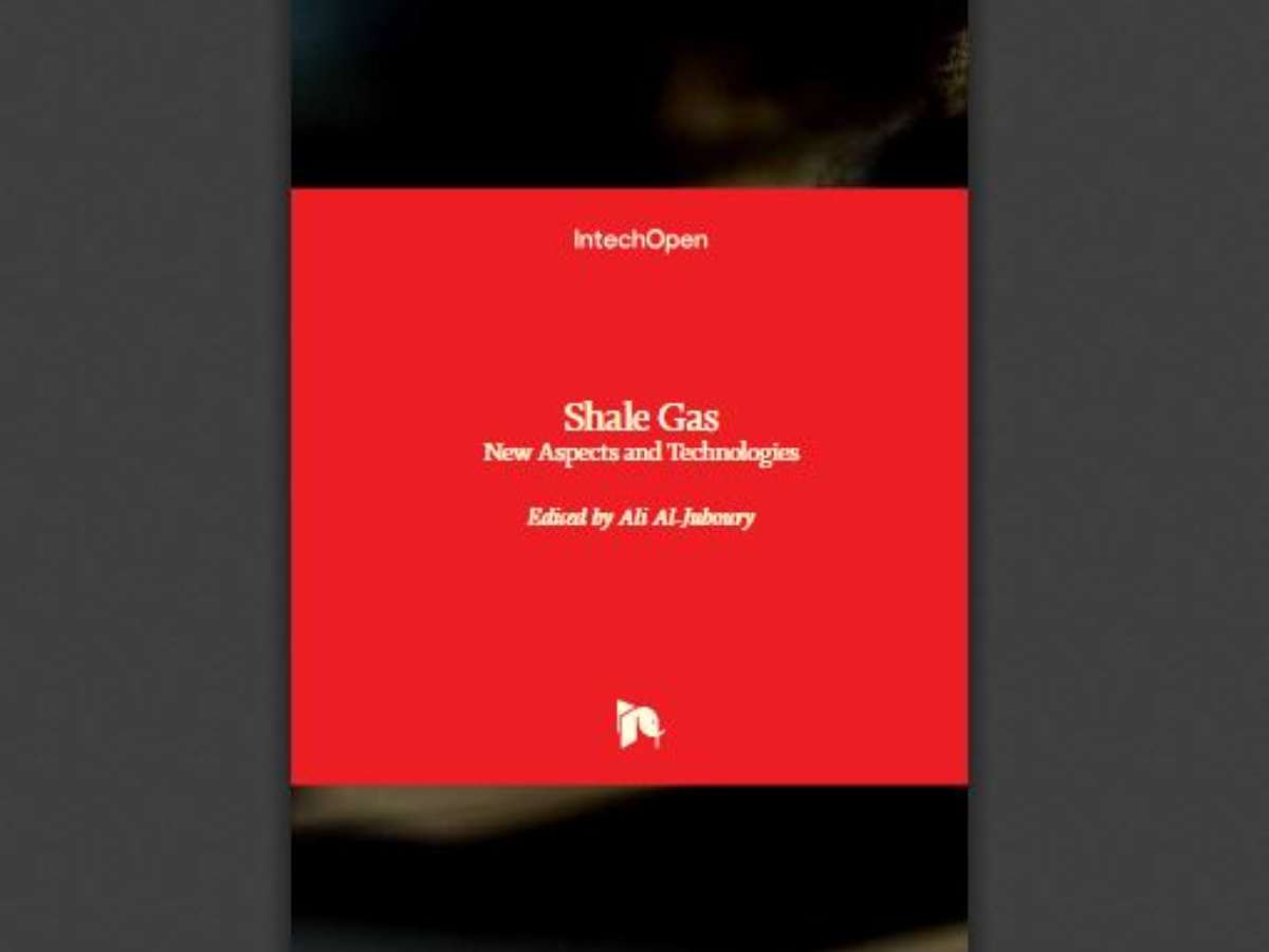 Shale Gas: New Aspects and Technologies