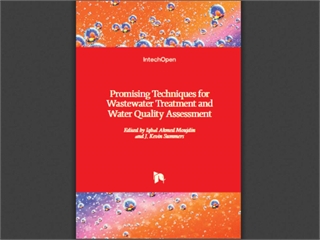 Promising Techniques for Wastewater Treatment and Water Quality Assessment