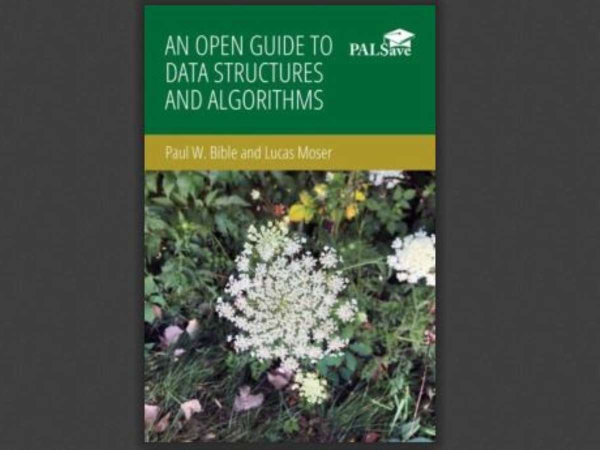 An Open Guide to Data Structures and Algorithms