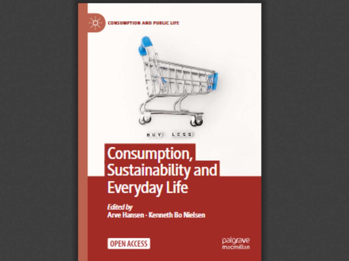 Consumption, Sustainability and Everyday Life