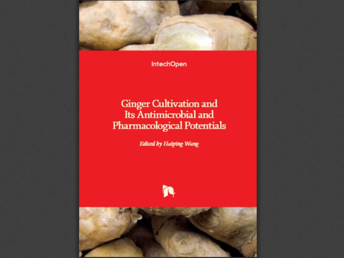 Ginger Cultivation and Its Antimicrobial and Pharmacological Potentials
