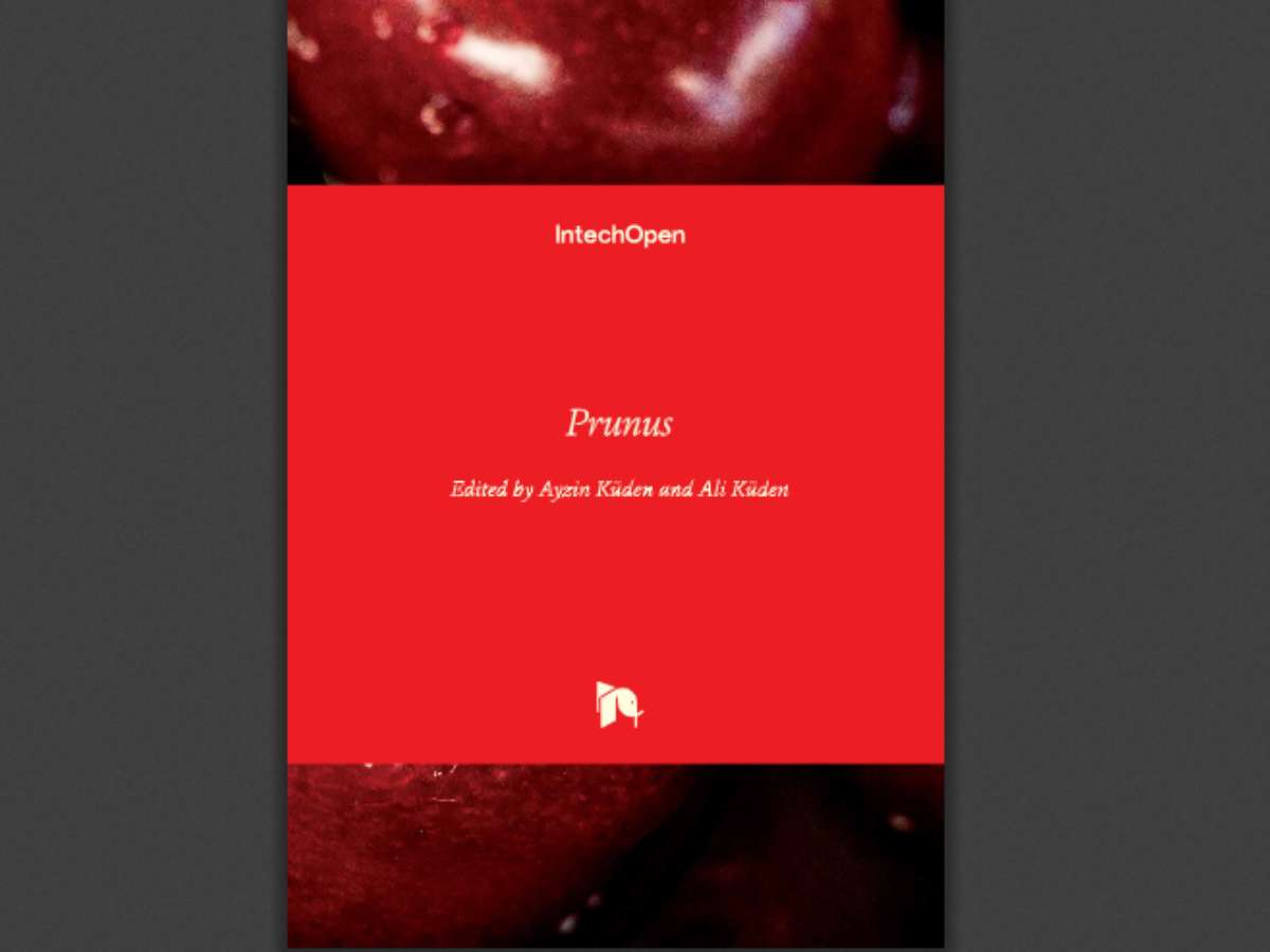 Prunus