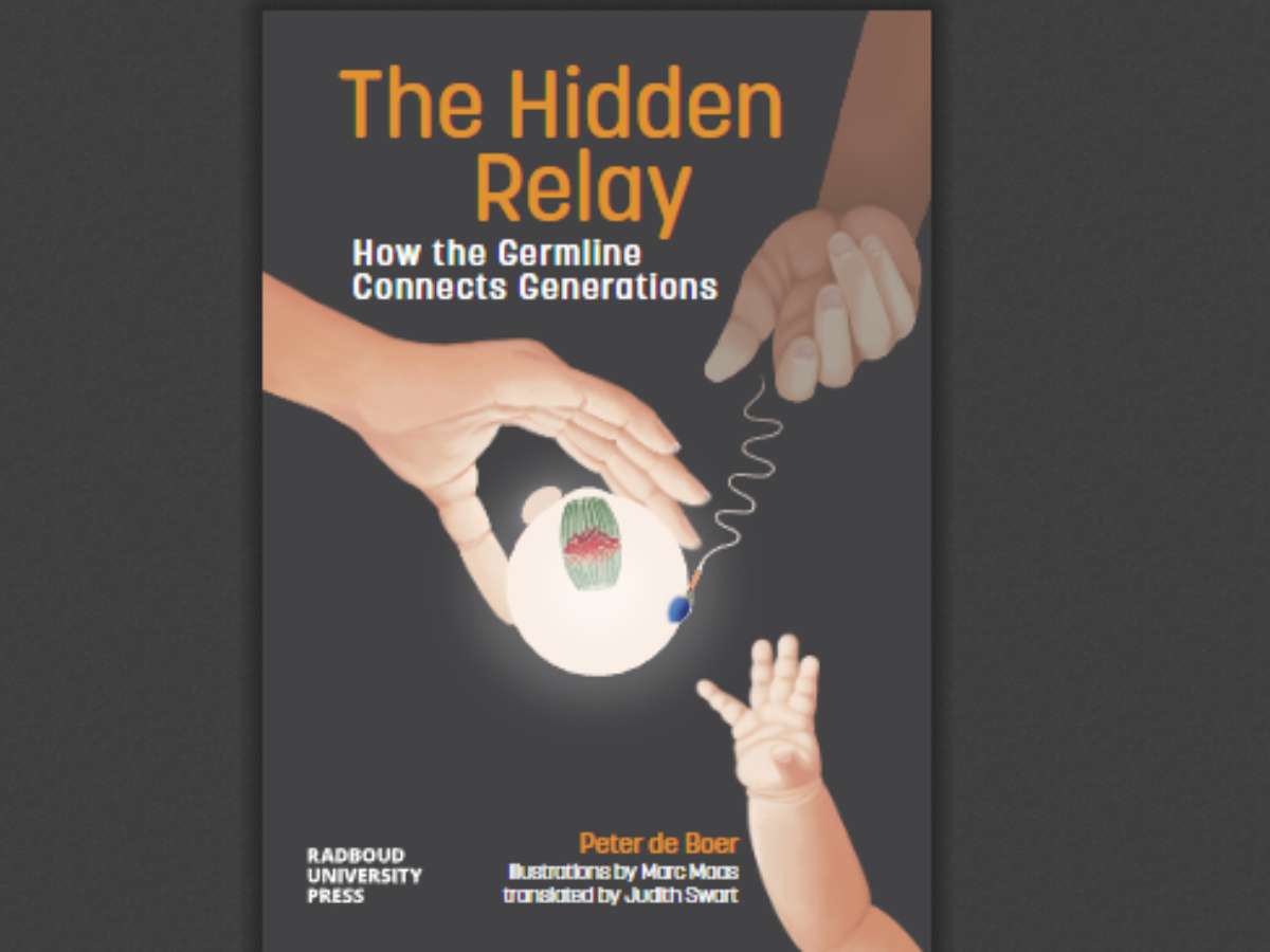 The Hidden Relay How the Germline Connects Generations