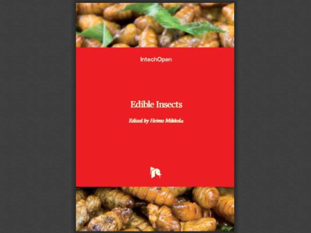Edible Insects