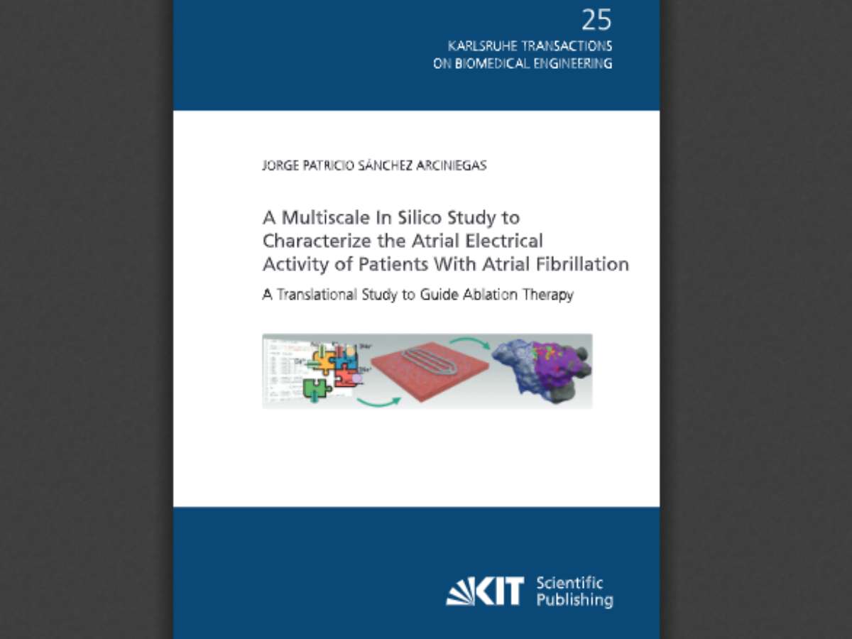 A Multiscale In Silico Study to Characterize the Atrial Electrical Activity of Patients With Atrial Fibrillation: A Translational Study to Guide Ablation Therapy