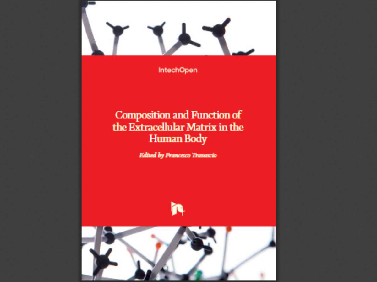 Composition and Function of the Extracellular Matrix in the Human Body