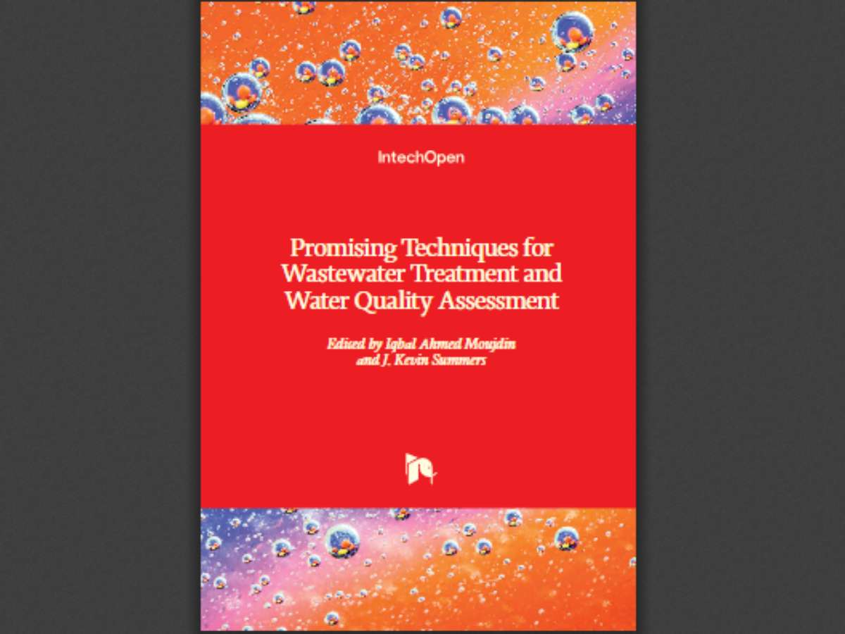 Promising Techniques for Wastewater Treatment and Water Quality Assessment