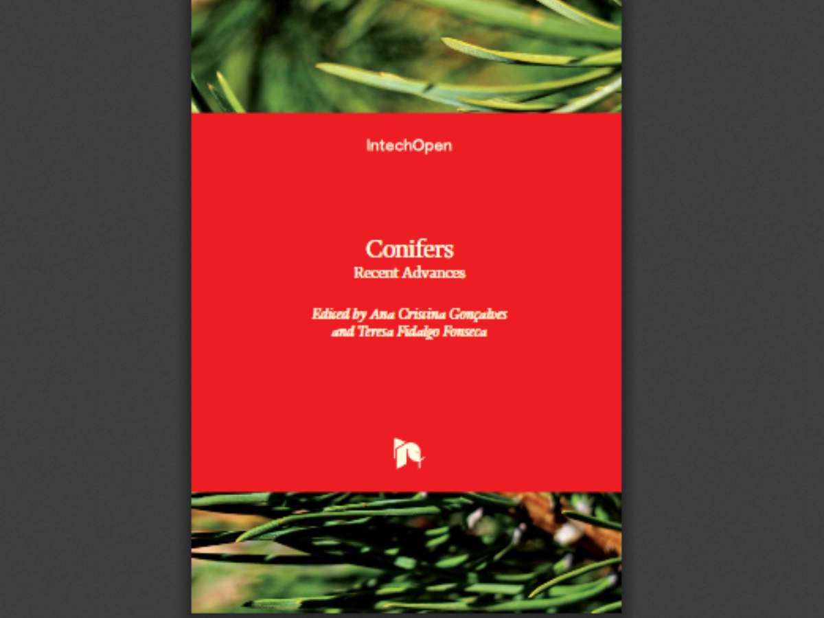 Conifers: Recent Advances