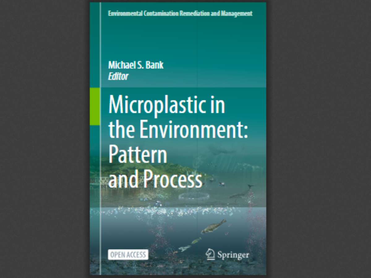 Microplastic in the Environment: Pattern and Process