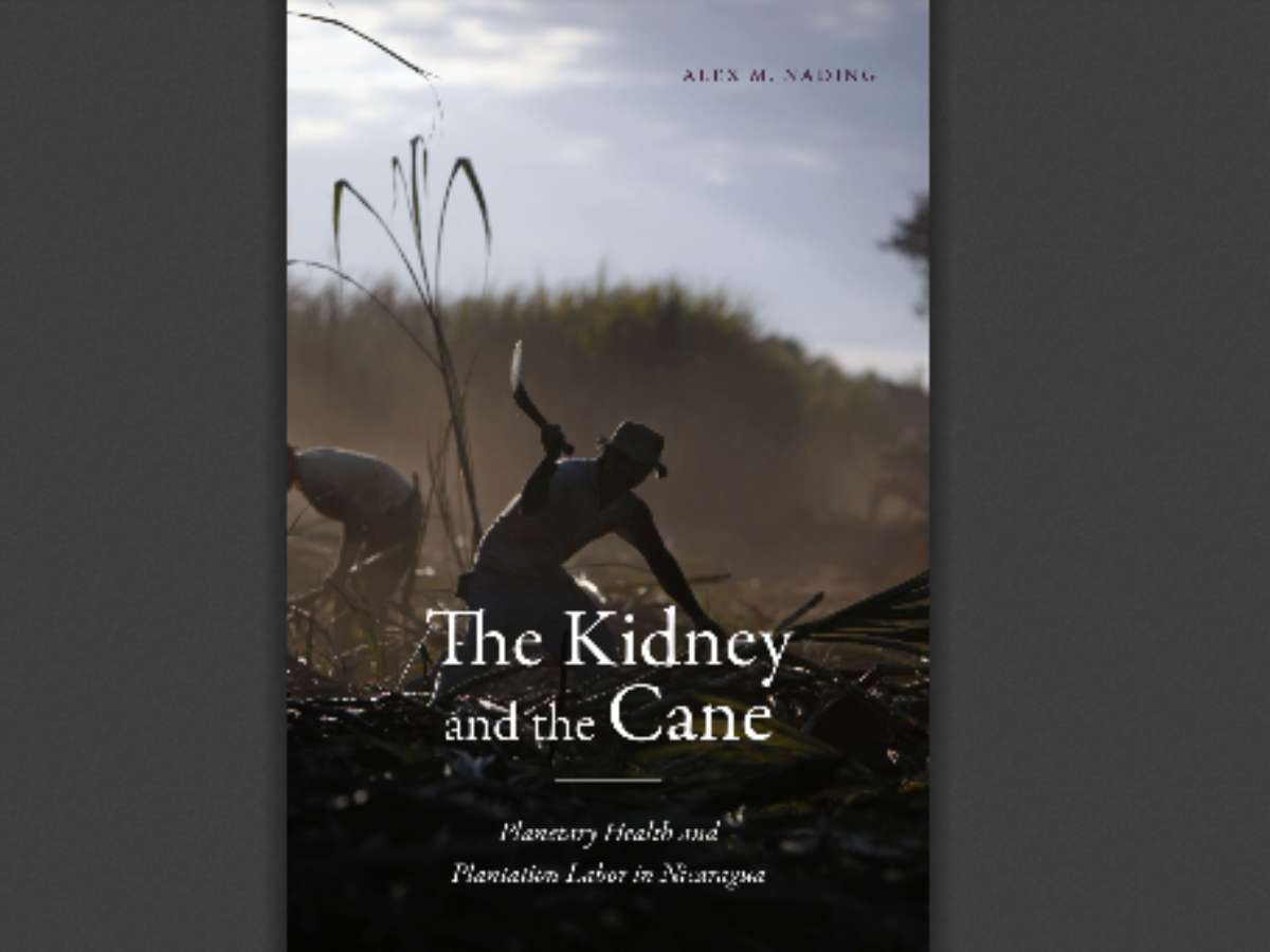 The Kidney and the Cane: Planetary Health and Plantation Labor in Nicaragua