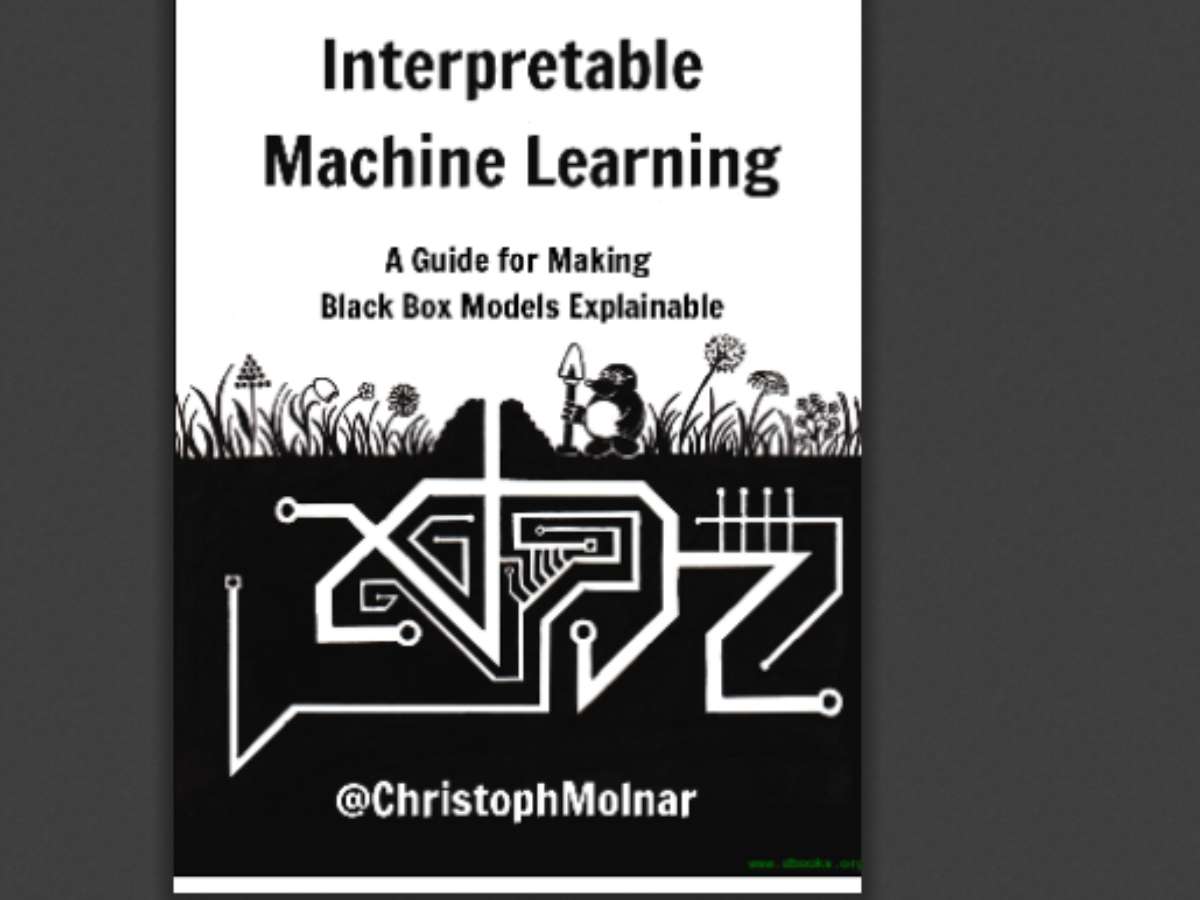 Interpretable Machine Learning