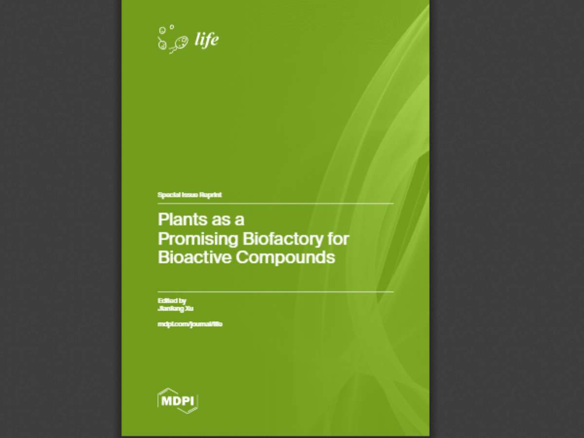 Plants as a Promising Biofactory for Bioactive Compounds