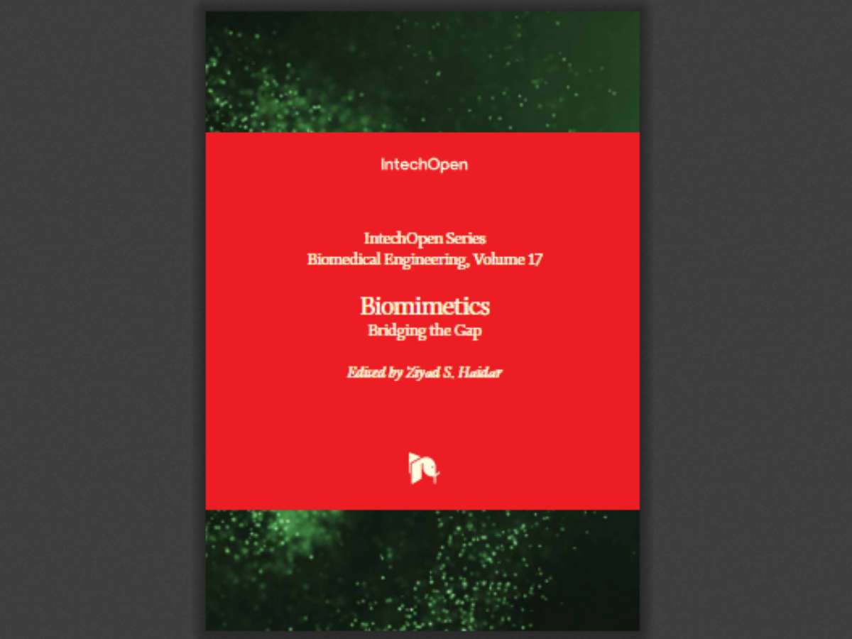 Biomimetics: Bridging the Gap