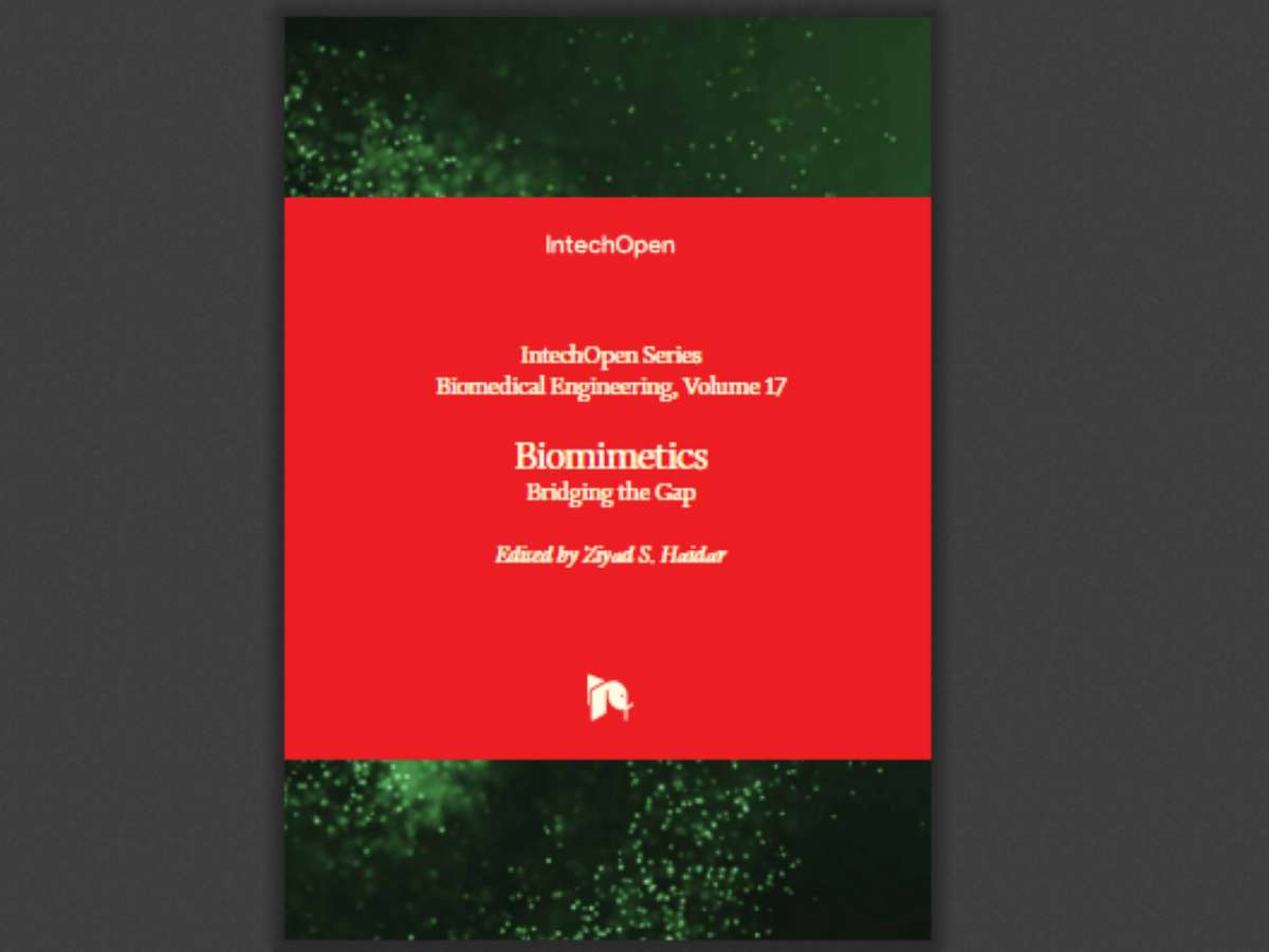 Biomimetics: Bridging the Gap