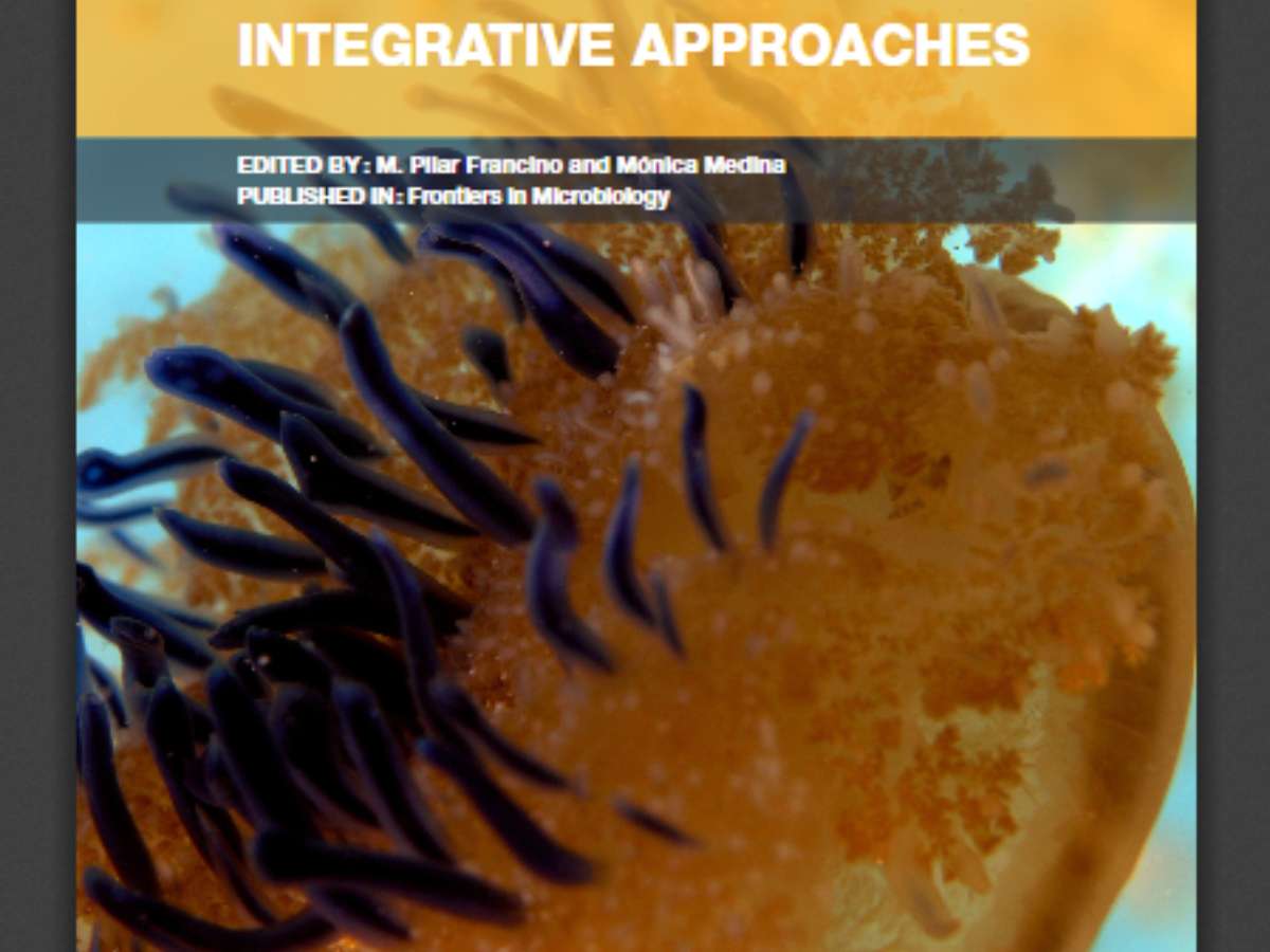 Recent Advances in Symbiosis Research: Integrative Approaches