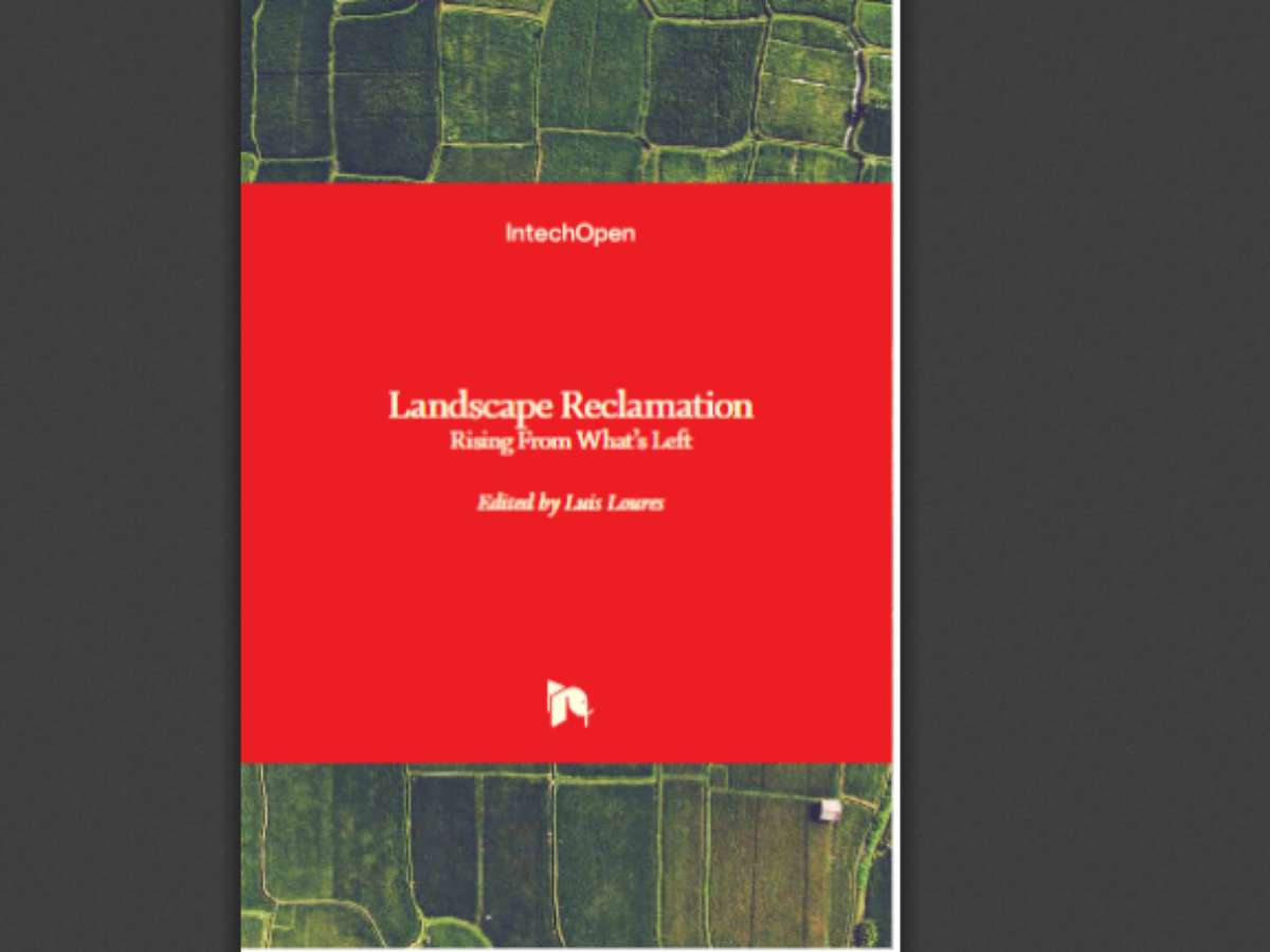 Landscape Reclamation Rising From What's Left