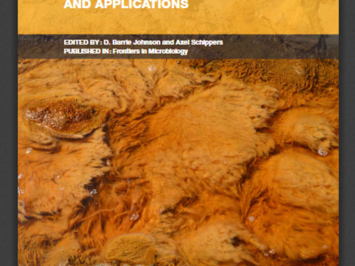 Recent Advances in Acidophile Microbiology: Fundamentals and Applications