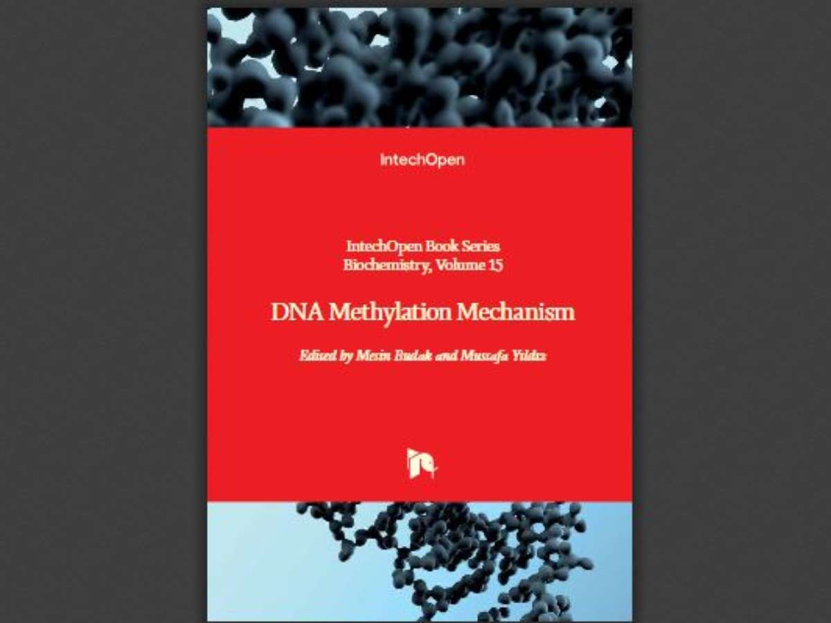 DNA Methylation Mechanism