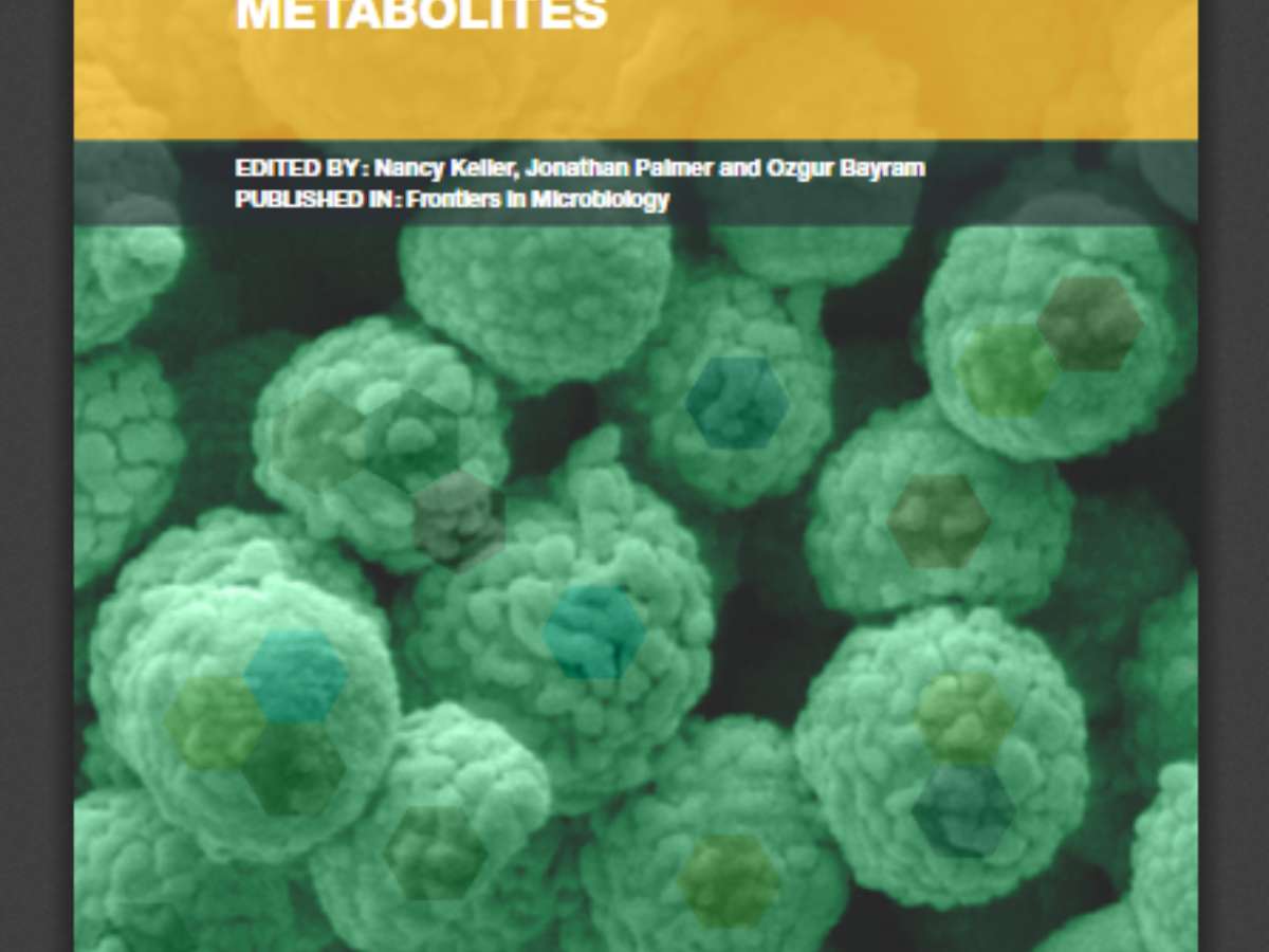 Fungal Jewels: Secondary Metabolites
