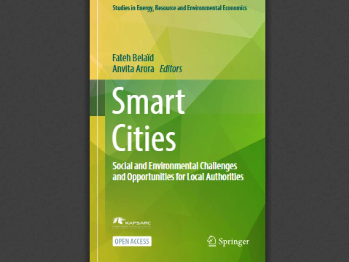Smart Cities: Social and Environmental Challenges and Opportunities for Local Authorities