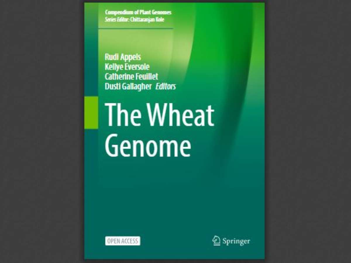The Wheat Genome