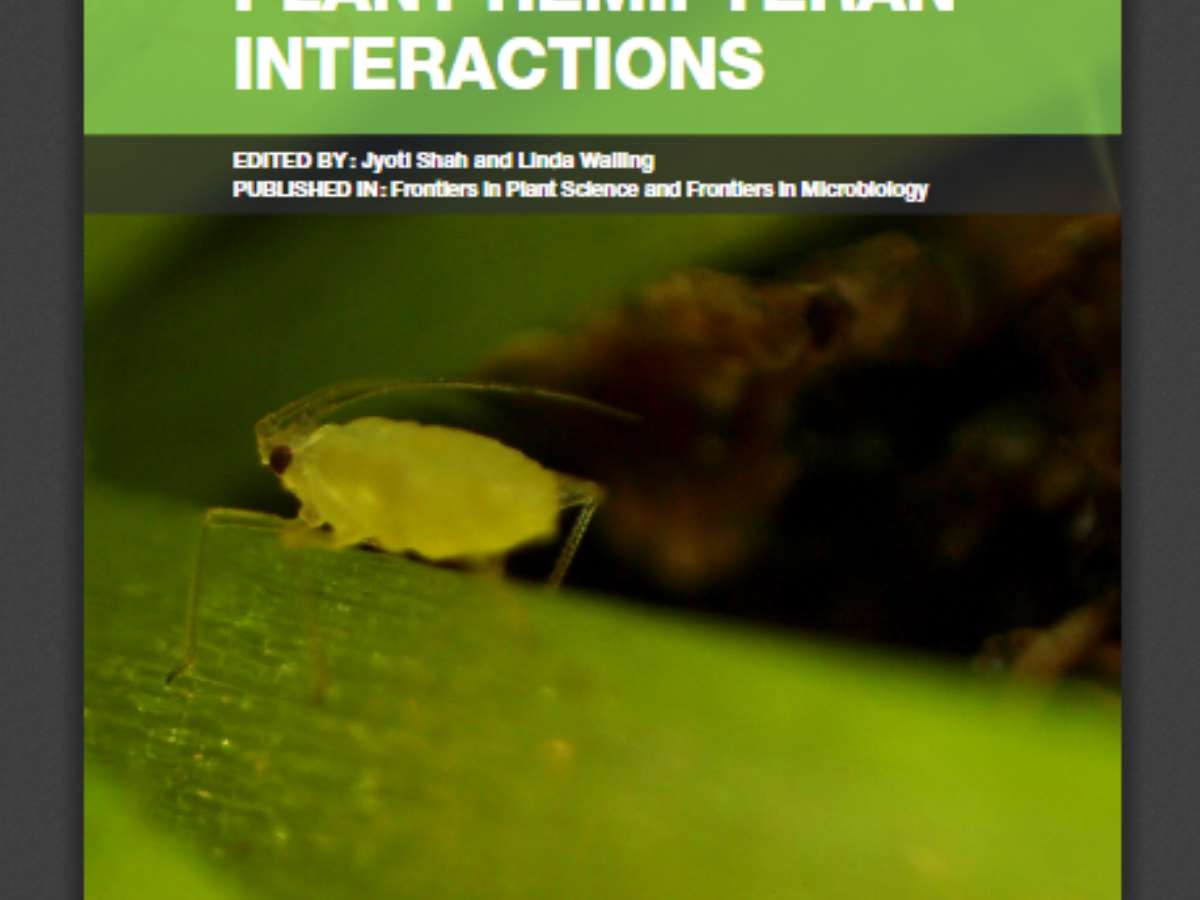 Advances in Plant-Hemipteran Interactions