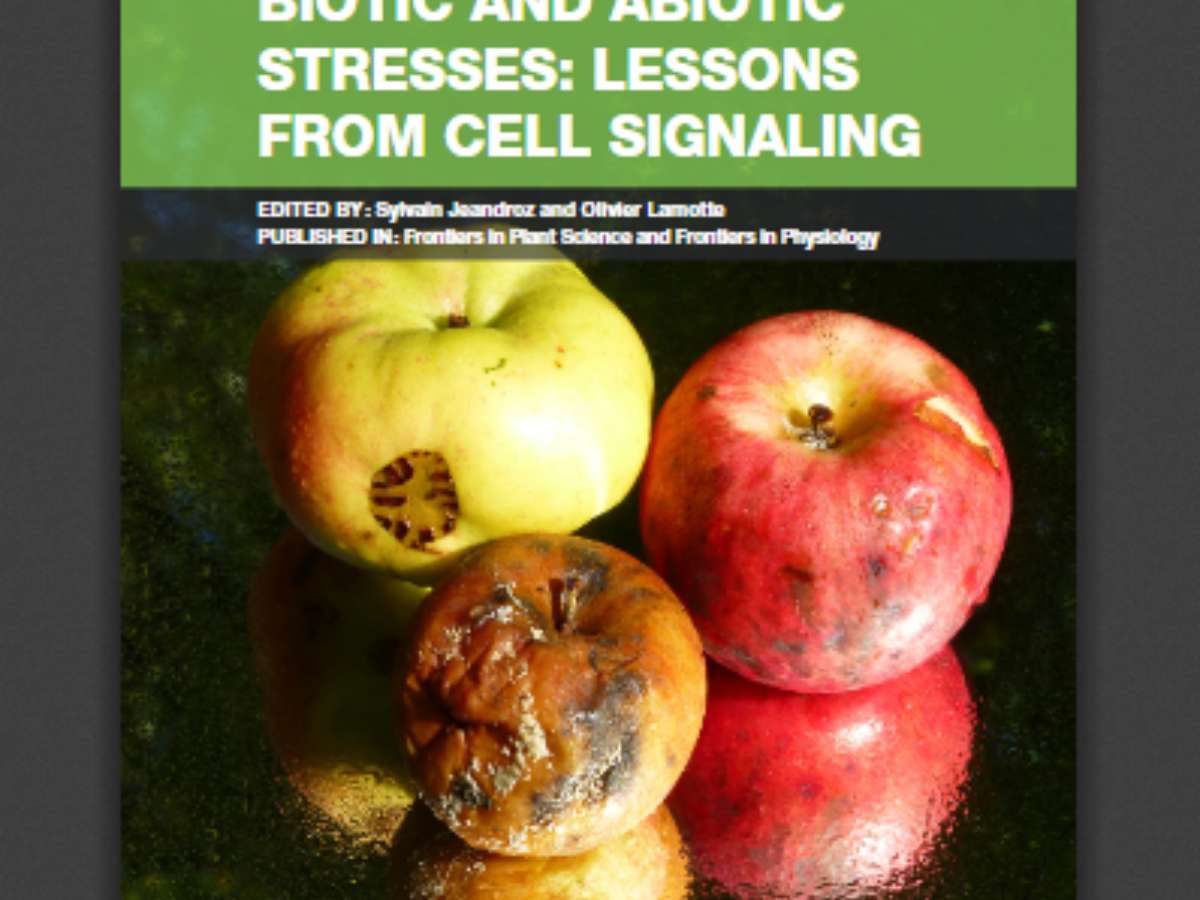 Plant Responses to Biotic and Abiotic Stresses: Lessons from Cell Signaling