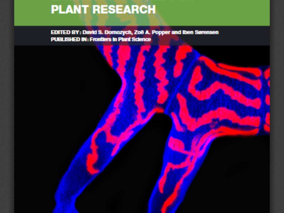 Charophytes: Evolutionary Ancestors of Plants and Emerging Models for Plant Research