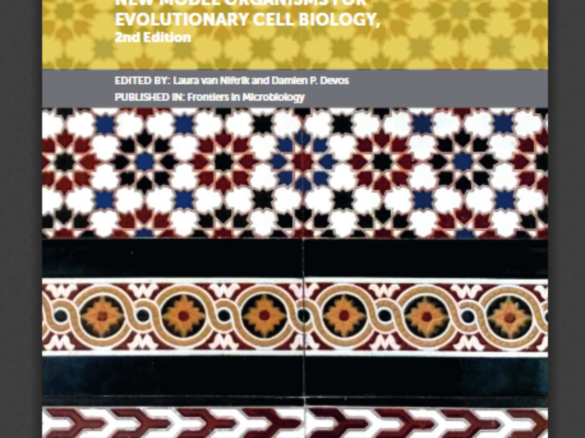Planctomycetes-Verrucomicrobia-Chlamydiae Bacterial Superphylum: New Model Organisms for Evolutionary Cell Biology