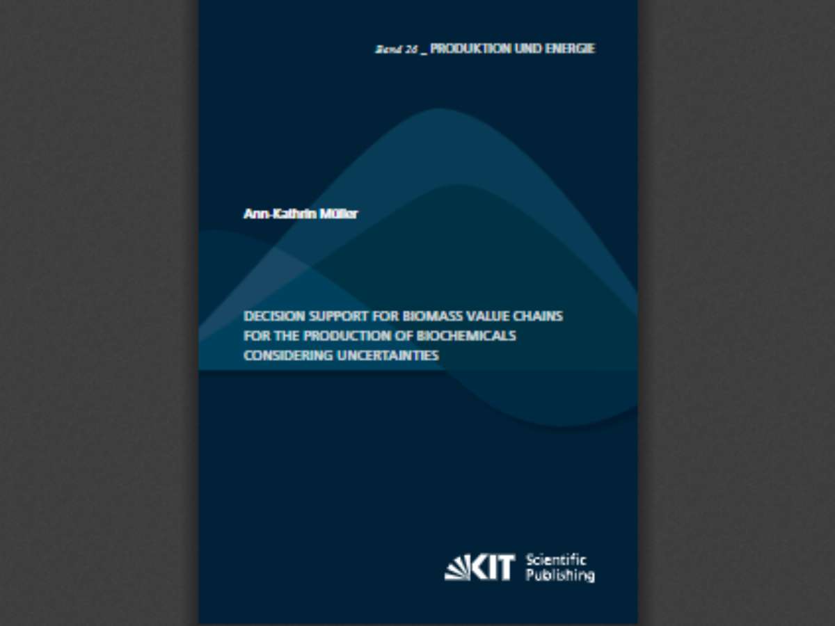 Decision Support for Biomass Value Chains for the Production of Biochemicals Considering Uncertainties
