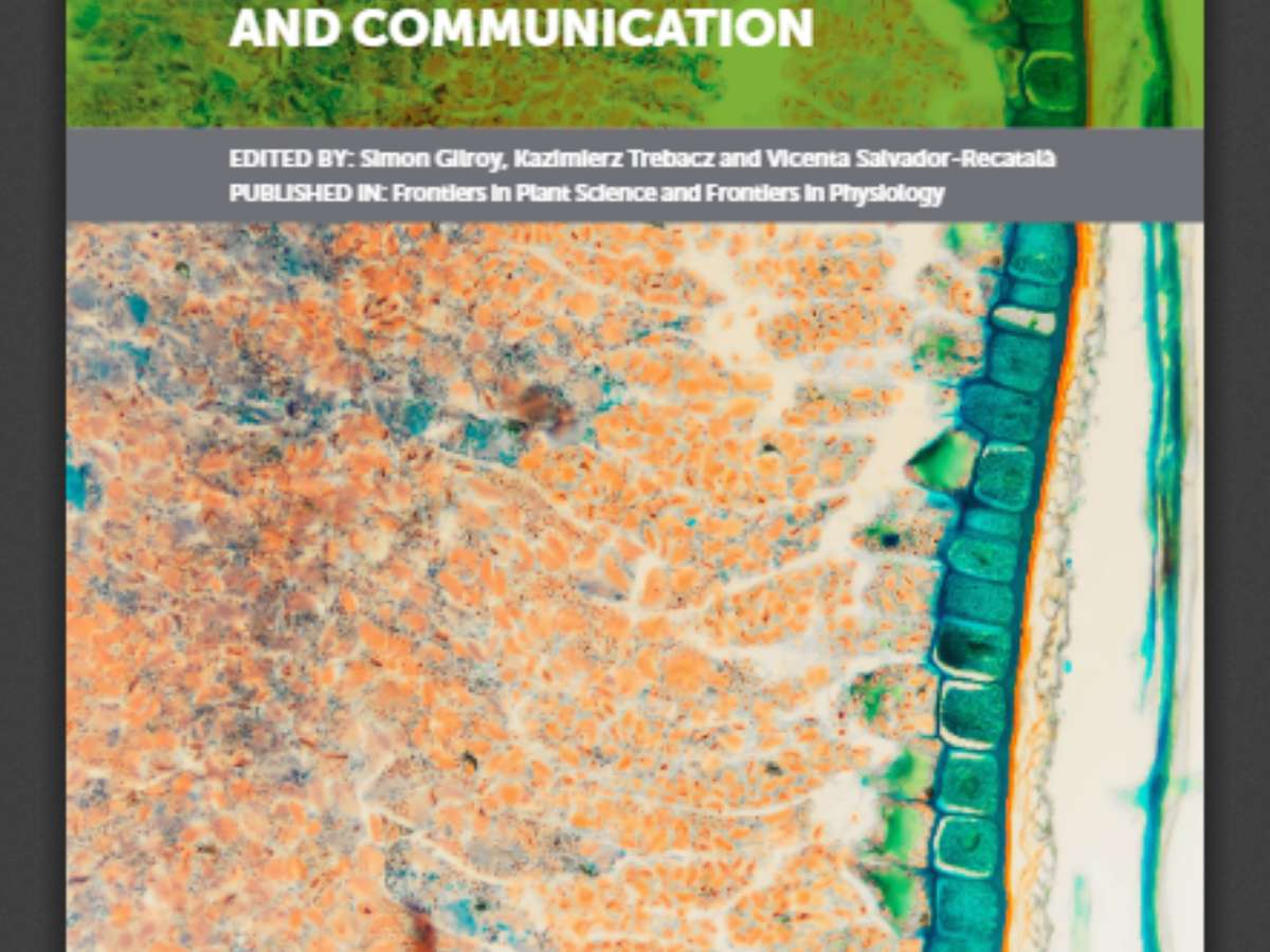 Inter-cellular Electrical Signals in Plant Adaptation and Communication