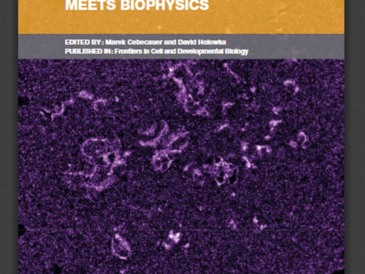 Molecular Organization of Membranes: Where Biology Meets Biophysics