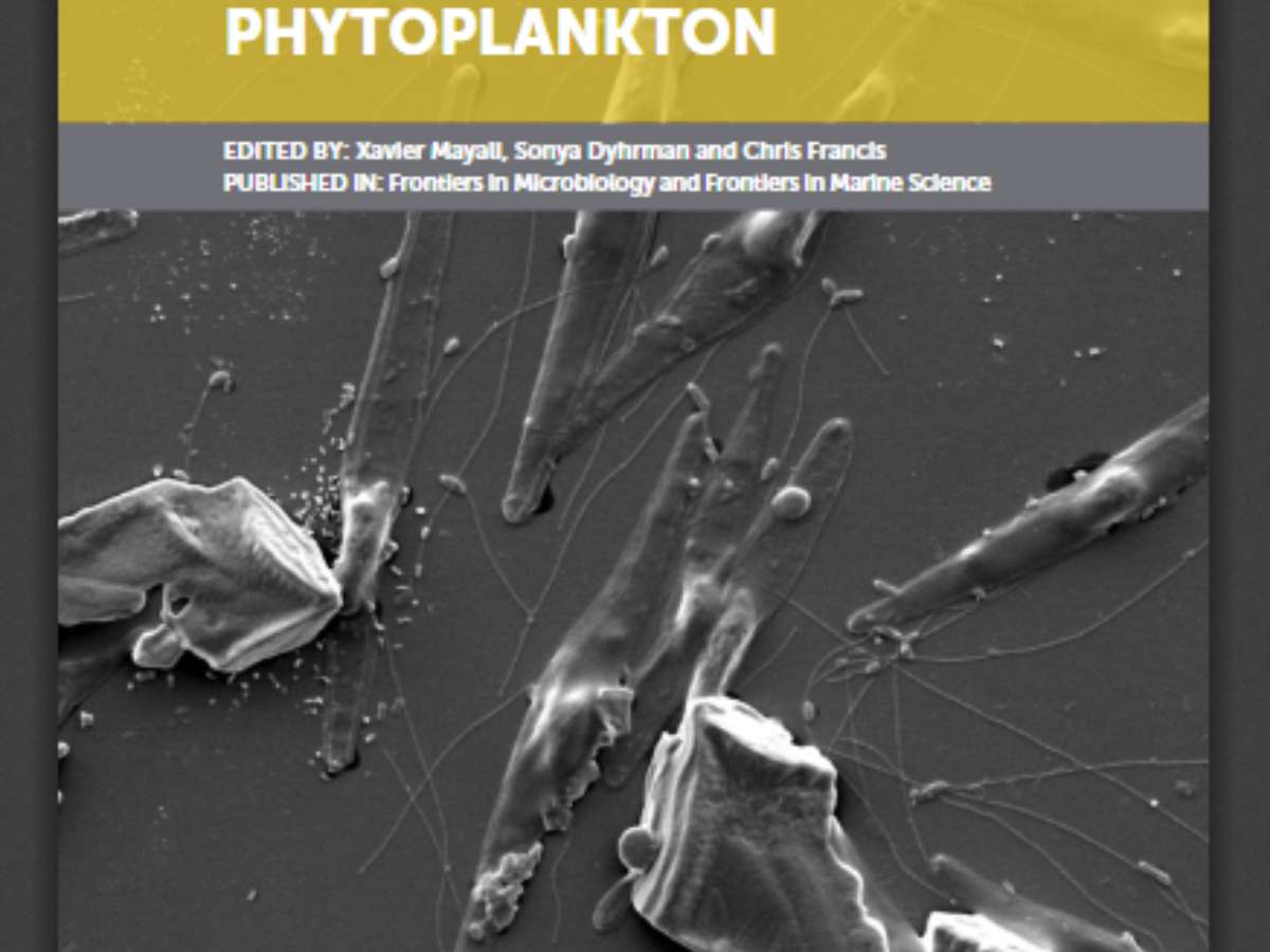 Metabolic Interactions Between Bacteria and Phytoplankton