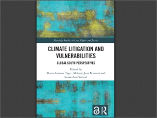 Climate Litigation and Vulnerabilities: Global South Perspectives