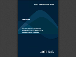 An analysis of current and future electricity production from biogas in Germany