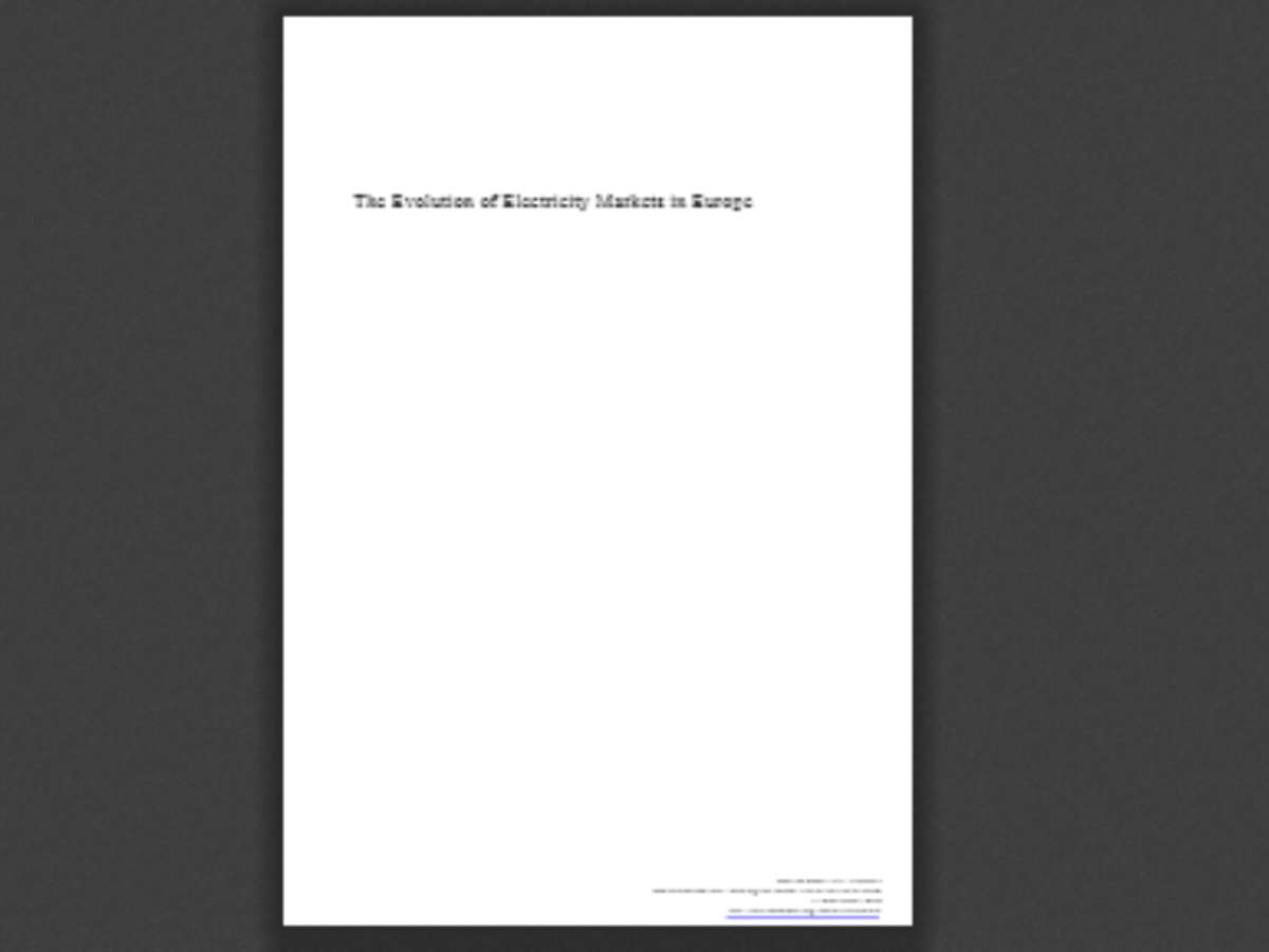 The Evolution of Electricity Markets in Europe: Loyola de Palacio Series on European Energy Policy