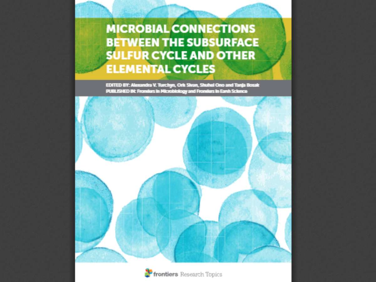 Microbial Connections Between the Subsurface Sulfur Cycle and Other Elemental Cycles