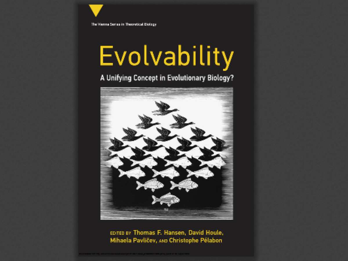 Evolvability: A Unifying Concept in Evolutionary Biology?