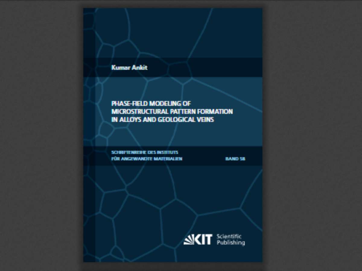 Phase-field modeling of microstructural pattern formation in alloys and geological veins