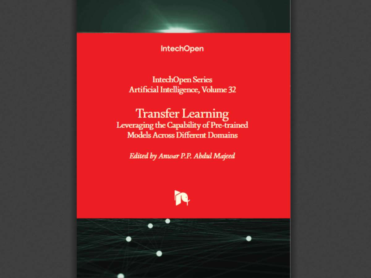 Transfer Learning: Leveraging the Capability of Pre-trained Models Across Different Domains