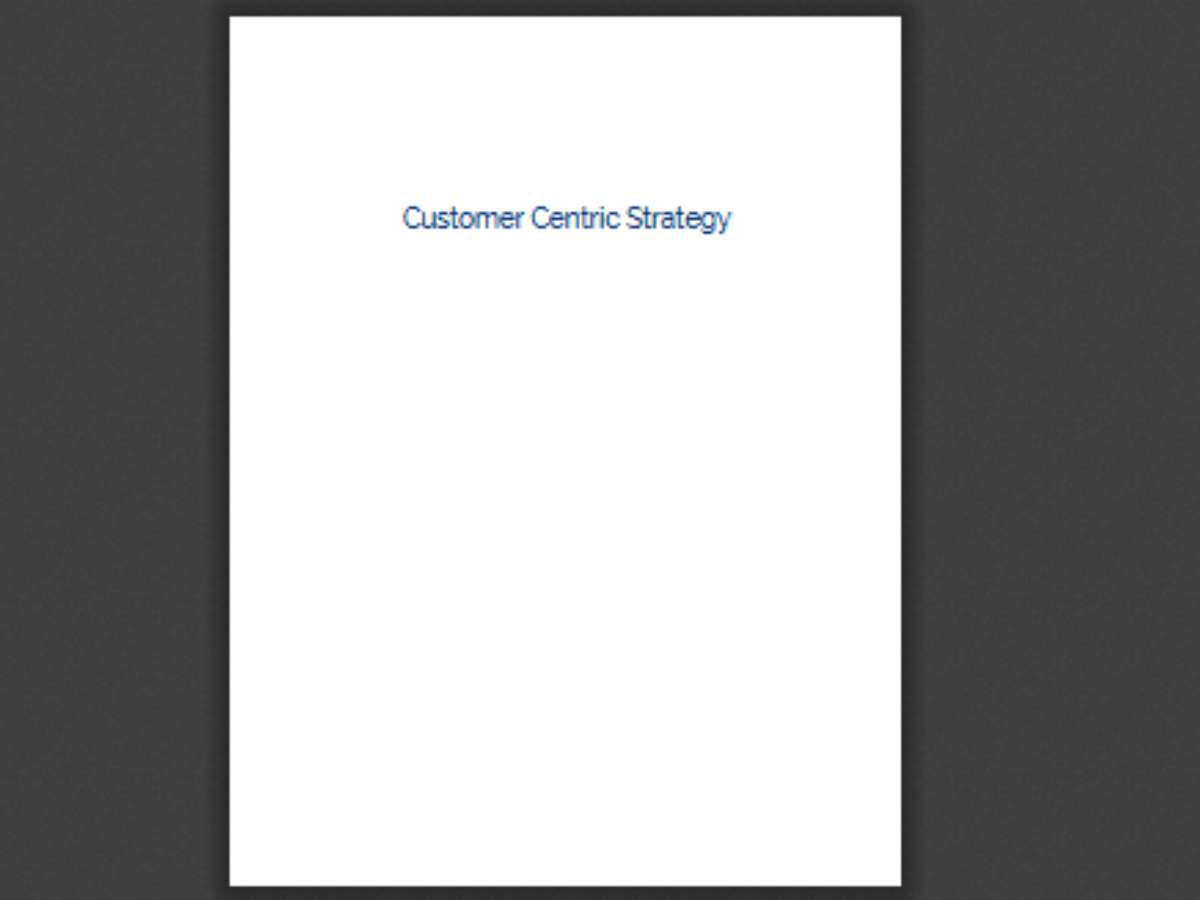 Customer Centric Strategy, 1st Edition