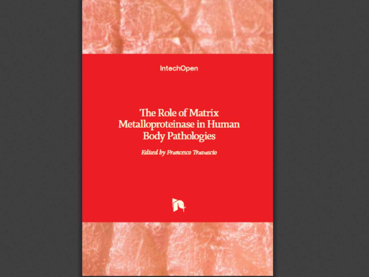 The Role of Matrix Metalloproteinase in Human Body Pathologies