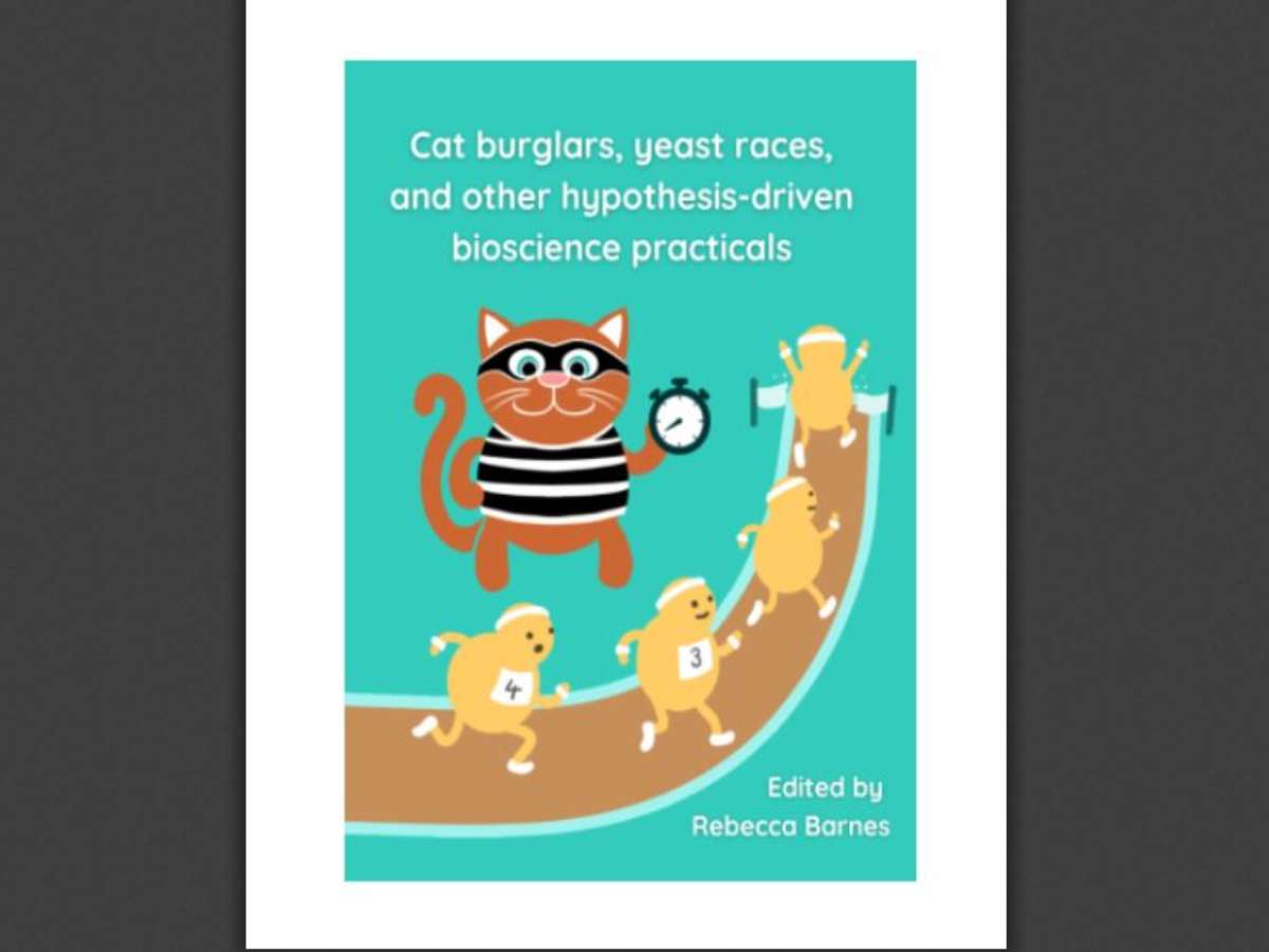 Cat burglars, yeast races, and other hypothesis-driven bioscience practicals