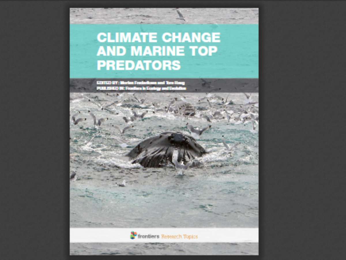 Climate change and marine top predators