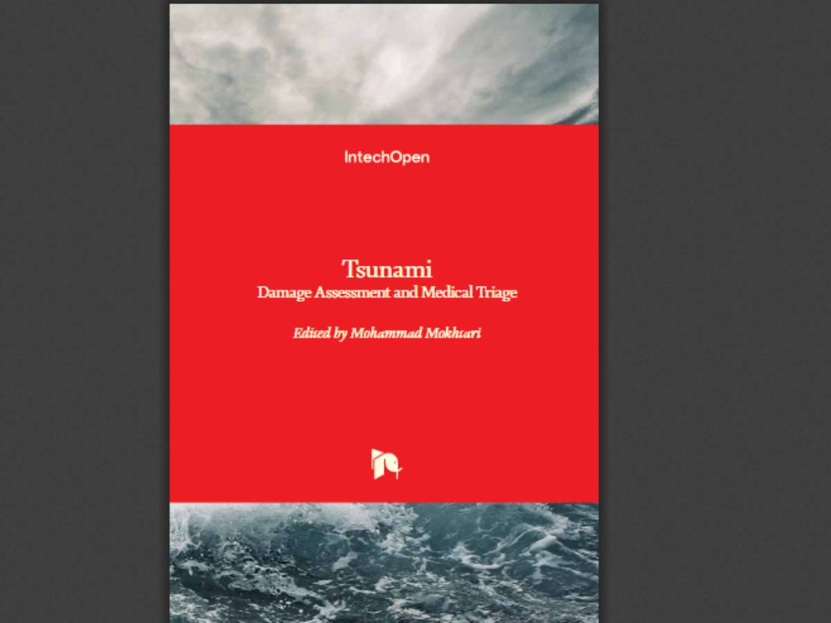 Tsunami: Damage Assessment and Medical Triage